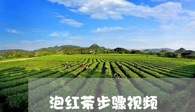 泡红茶步骤视频/2023042943812