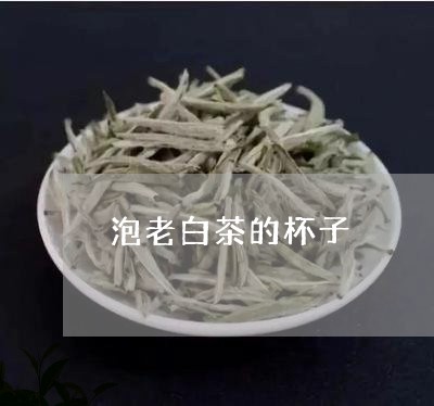 泡老白茶的杯子/2023060294151