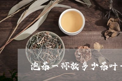 泡茶一杯放多少茶叶一杯茶能泡几次/2023060408480