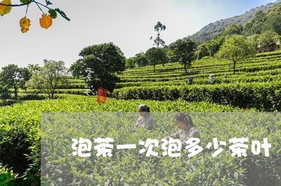 泡茶一次泡多少茶叶/2023042517158