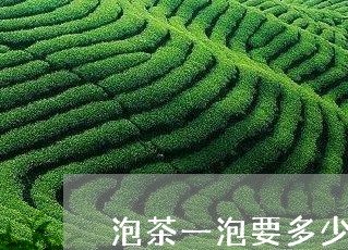 泡茶一泡要多少克茶叶/2023061049382