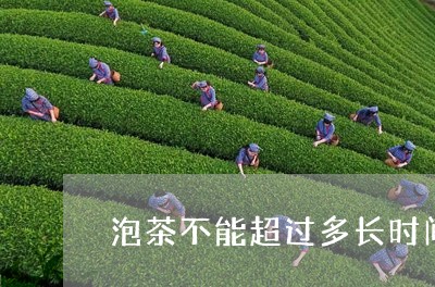 泡茶不能超过多长时间/2023092000603