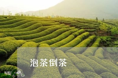 泡茶倒茶/2023121939282