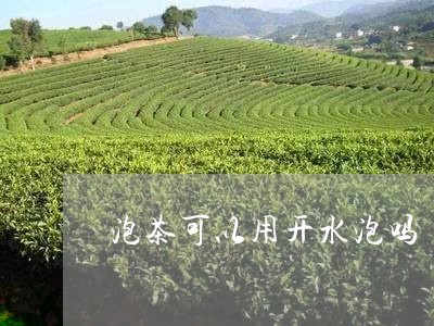 泡茶可以用开水泡吗/2023042210491