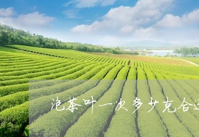 泡茶叶一次多少克合适/2023071649252