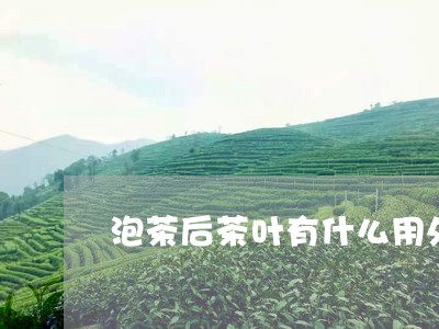 泡茶后茶叶有什么用处/2023061103059