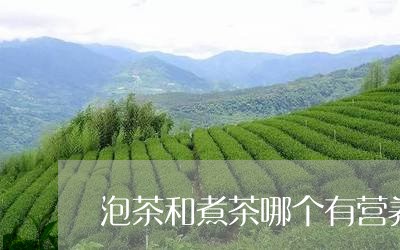 泡茶和煮茶哪个有营养/2023071522835