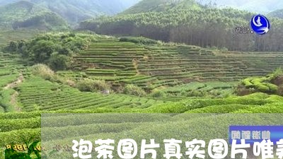 泡茶图片真实图片唯美/2023060994715