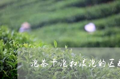 泡茶干泡和湿泡的区别/2023060930593