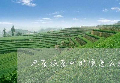 泡茶换茶叶时候怎么换/2023061109372