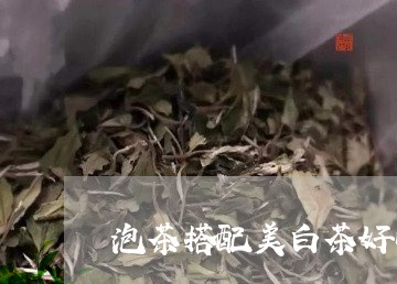 泡茶搭配美白茶好吗/2023102779382