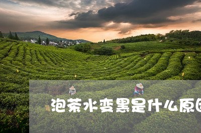 泡茶水变黑是什么原因/2023092005170