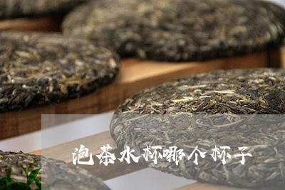 泡茶水杯哪个杯子/2023060992815