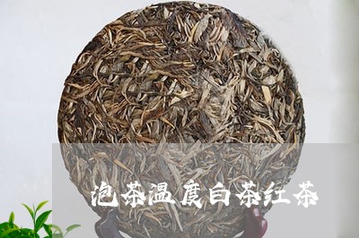 泡茶温度白茶红茶/2023062230395