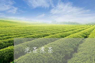 泡茶煮茶/2023090125259