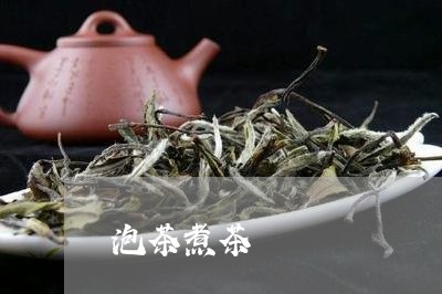 泡茶煮茶/2023121929360