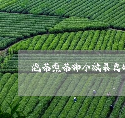 泡茶煮茶哪个效果更好/2023071560615