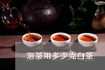 泡茶用多少克白茶/2023062270705