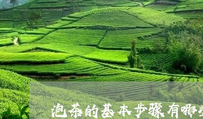 泡茶的基本步骤有哪些/2023060861613