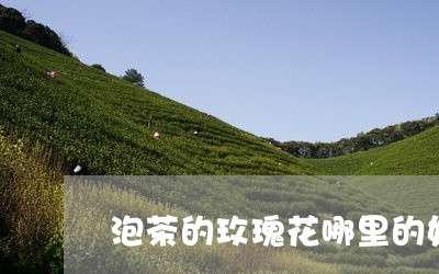 泡茶的玫瑰花哪里的好/2023092011626