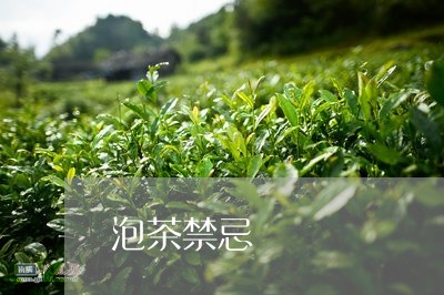 泡茶禁忌/2023121900381