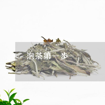 泡茶第一步/2023090219382