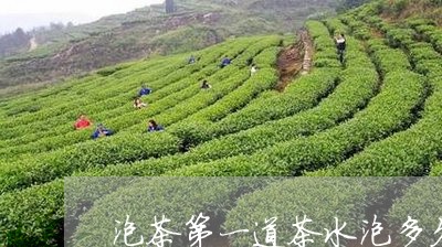 泡茶第一道茶水泡多久/2023060969582