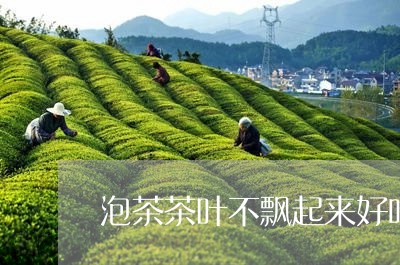 泡茶茶叶不飘起来好吗/2023092269369