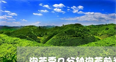 泡茶要几分钟泡茶前为什么要洗茶/2023060226050