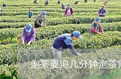 泡茶要泡几分钟泡茶需要多少分钟/2023060201604