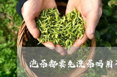 泡茶都要先洗茶吗用不用洗茶/2023052620471