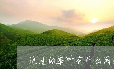 泡过的茶叶有什么用处/2023061165947