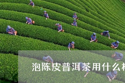 泡陈皮普洱茶用什么杯/2023092534846