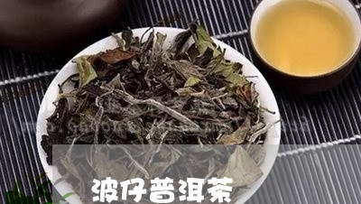 波仔普洱茶/2023102563937