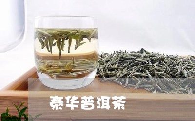 泰华普洱茶/2023083190493