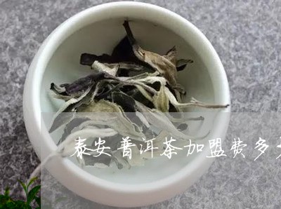 泰安普洱茶加盟费多少/2023092557282