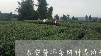 泰安普洱茶饼种类价格大全/2023110762724