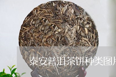 泰安普洱茶饼种类图片介绍/2023083186350