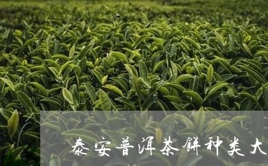 泰安普洱茶饼种类大全及价格/2023121749402