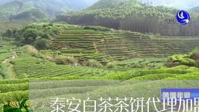 泰安白茶茶饼代理加盟商/2023102766282