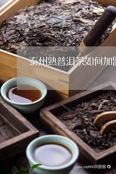 泰州熟普洱茶如何加盟的/2023121730606