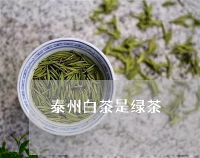 泰州白茶是绿茶/2023060206257