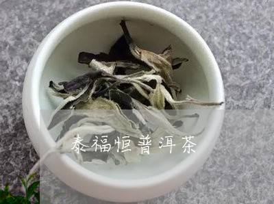 泰福恒普洱茶/2023042554616