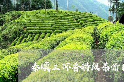 泰顺三杯香特级茶价格/2023071506050