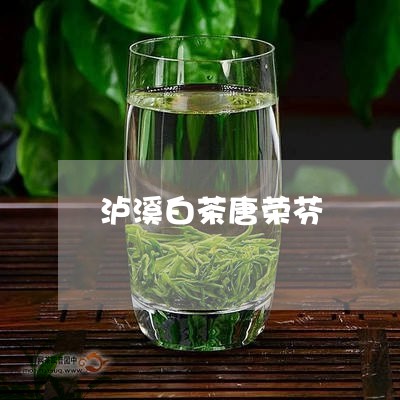 泸溪白茶唐荣芬/2023060258304