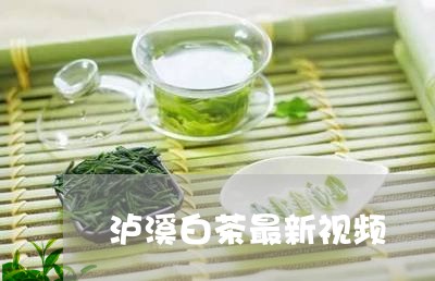 泸溪白茶最新视频/2023062317470