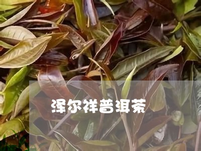 泽尔祥普洱茶/2023042557466