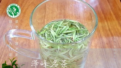 泽峰名茶/2023090118369