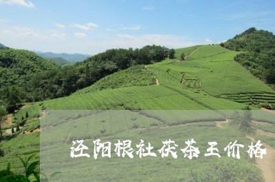 泾阳根社茯茶王价格/2023071504826