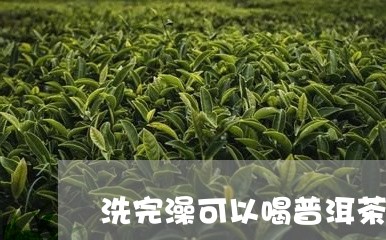 洗完澡可以喝普洱茶吗/2023061887260